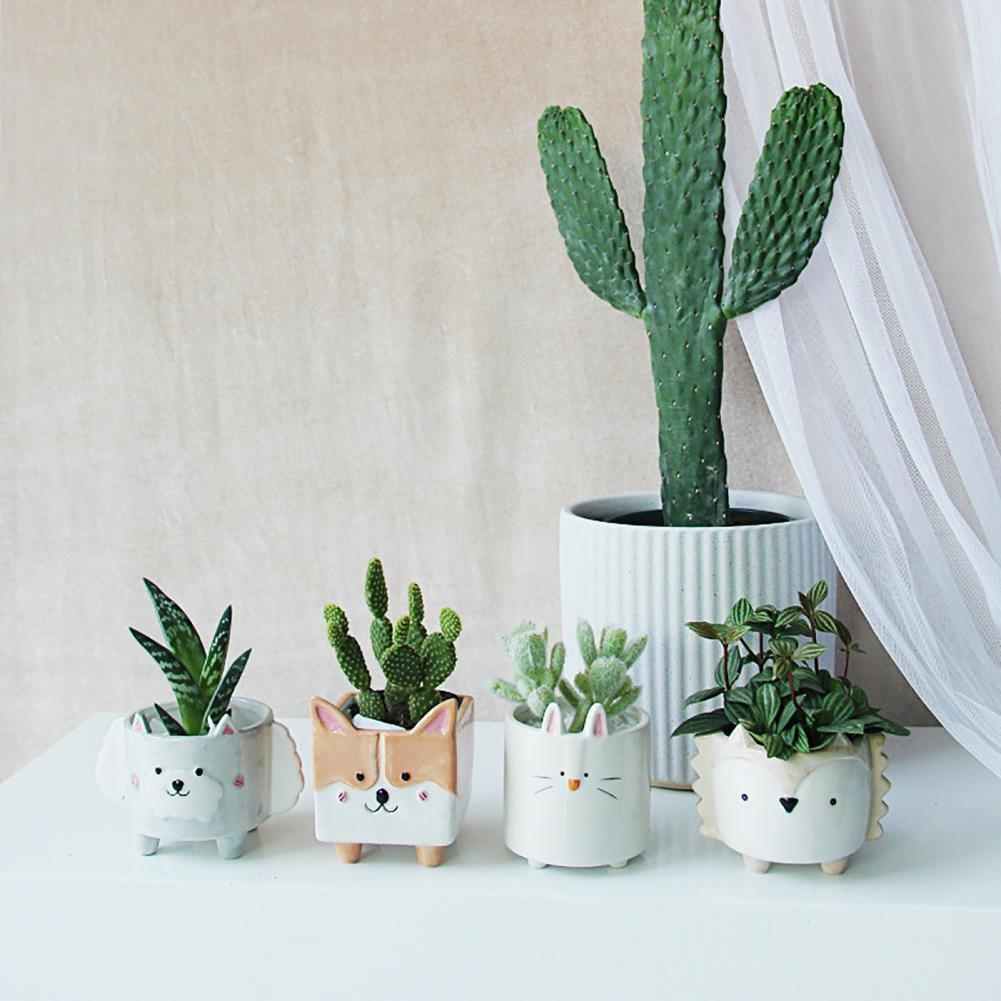 Boxy Animal Ceramic Succulent Planters