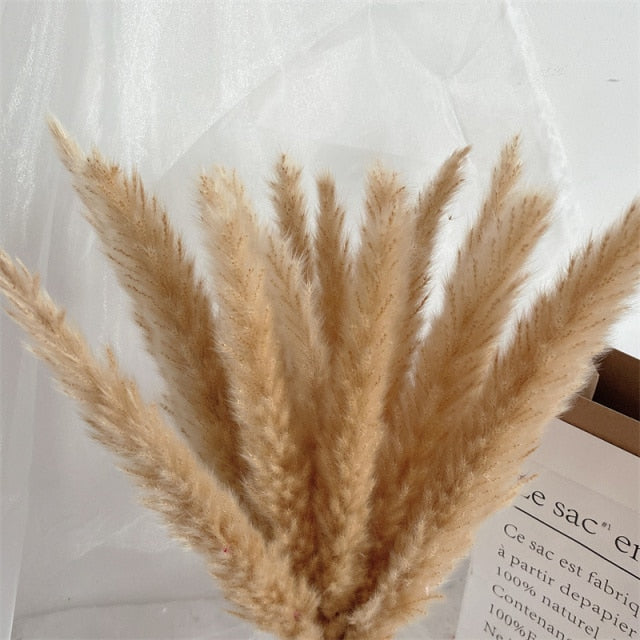 15pcs White Grey Pampas Grass Dried Flower